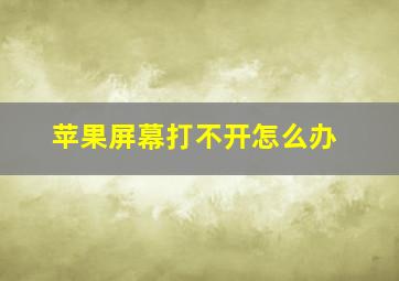 苹果屏幕打不开怎么办