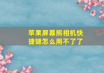 苹果屏幕照相机快捷键怎么用不了了