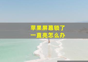 苹果屏幕锁了一直亮怎么办