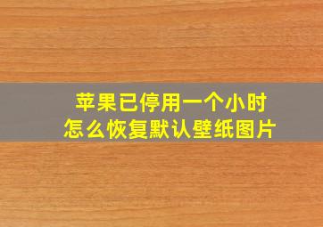 苹果已停用一个小时怎么恢复默认壁纸图片