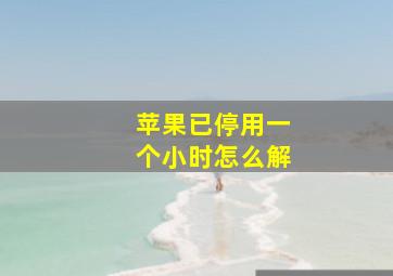 苹果已停用一个小时怎么解