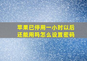 苹果已停用一小时以后还能用吗怎么设置密码