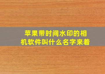 苹果带时间水印的相机软件叫什么名字来着