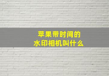 苹果带时间的水印相机叫什么