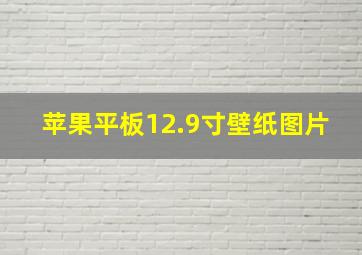 苹果平板12.9寸壁纸图片