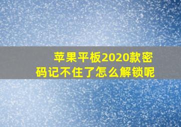 苹果平板2020款密码记不住了怎么解锁呢