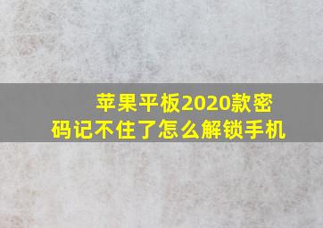 苹果平板2020款密码记不住了怎么解锁手机