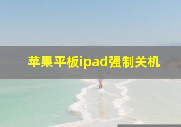 苹果平板ipad强制关机