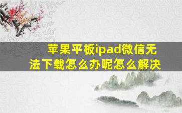 苹果平板ipad微信无法下载怎么办呢怎么解决