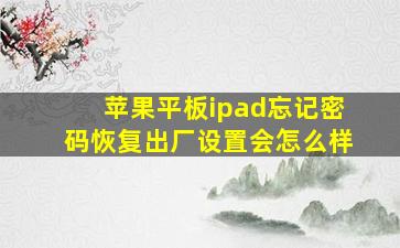 苹果平板ipad忘记密码恢复出厂设置会怎么样