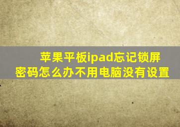 苹果平板ipad忘记锁屏密码怎么办不用电脑没有设置