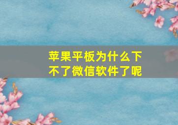 苹果平板为什么下不了微信软件了呢