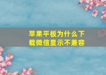 苹果平板为什么下载微信显示不兼容