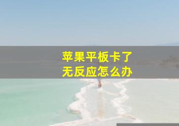 苹果平板卡了无反应怎么办