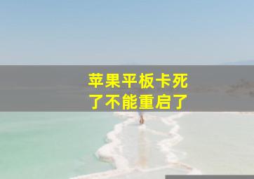 苹果平板卡死了不能重启了