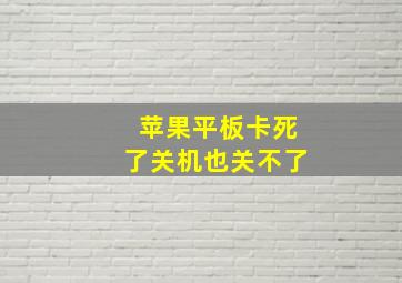 苹果平板卡死了关机也关不了