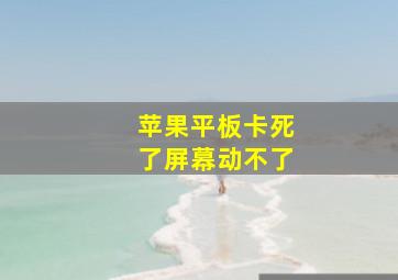 苹果平板卡死了屏幕动不了