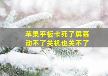 苹果平板卡死了屏幕动不了关机也关不了