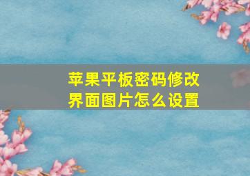 苹果平板密码修改界面图片怎么设置