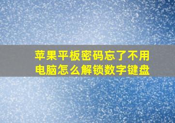 苹果平板密码忘了不用电脑怎么解锁数字键盘