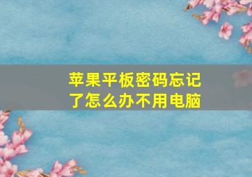 苹果平板密码忘记了怎么办不用电脑