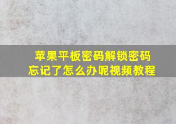 苹果平板密码解锁密码忘记了怎么办呢视频教程