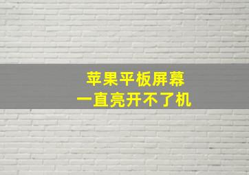 苹果平板屏幕一直亮开不了机