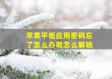 苹果平板应用密码忘了怎么办呢怎么解锁