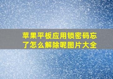 苹果平板应用锁密码忘了怎么解除呢图片大全