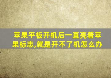 苹果平板开机后一直亮着苹果标志,就是开不了机怎么办