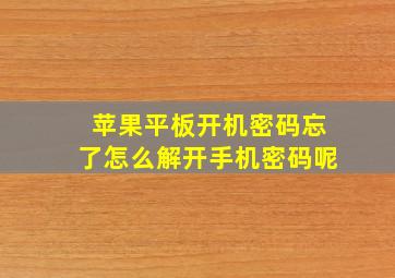 苹果平板开机密码忘了怎么解开手机密码呢