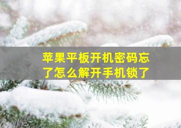 苹果平板开机密码忘了怎么解开手机锁了