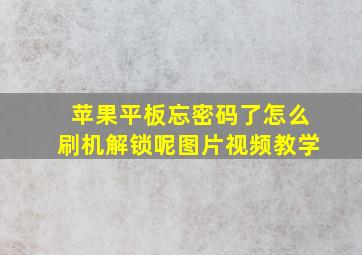 苹果平板忘密码了怎么刷机解锁呢图片视频教学