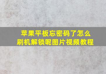 苹果平板忘密码了怎么刷机解锁呢图片视频教程