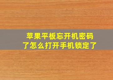 苹果平板忘开机密码了怎么打开手机锁定了