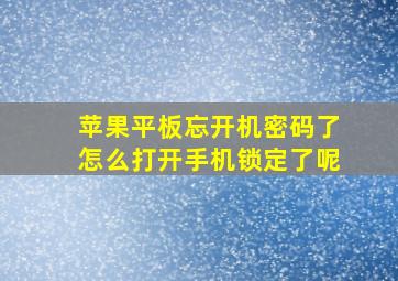 苹果平板忘开机密码了怎么打开手机锁定了呢