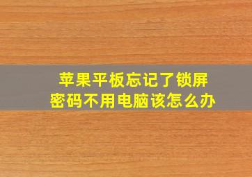 苹果平板忘记了锁屏密码不用电脑该怎么办