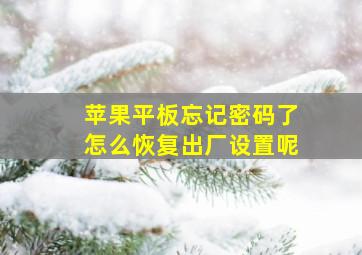 苹果平板忘记密码了怎么恢复出厂设置呢