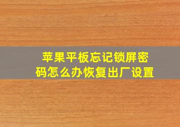 苹果平板忘记锁屏密码怎么办恢复出厂设置