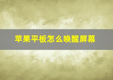 苹果平板怎么唤醒屏幕