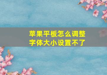 苹果平板怎么调整字体大小设置不了