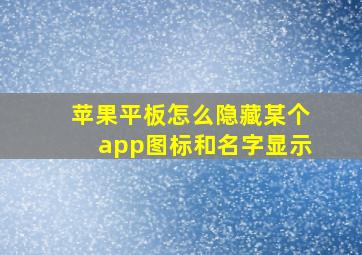 苹果平板怎么隐藏某个app图标和名字显示