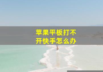 苹果平板打不开快手怎么办