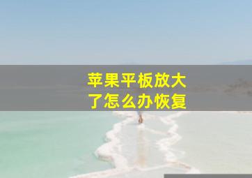 苹果平板放大了怎么办恢复