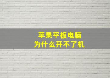 苹果平板电脑为什么开不了机