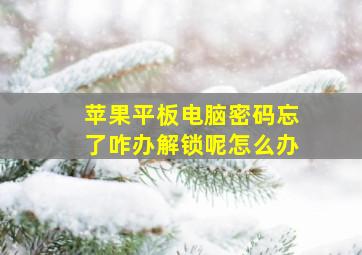 苹果平板电脑密码忘了咋办解锁呢怎么办