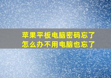 苹果平板电脑密码忘了怎么办不用电脑也忘了