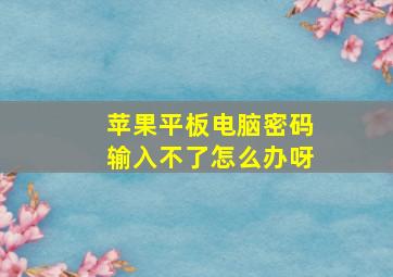 苹果平板电脑密码输入不了怎么办呀