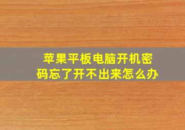 苹果平板电脑开机密码忘了开不出来怎么办