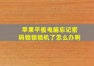 苹果平板电脑忘记密码锁锁锁机了怎么办啊